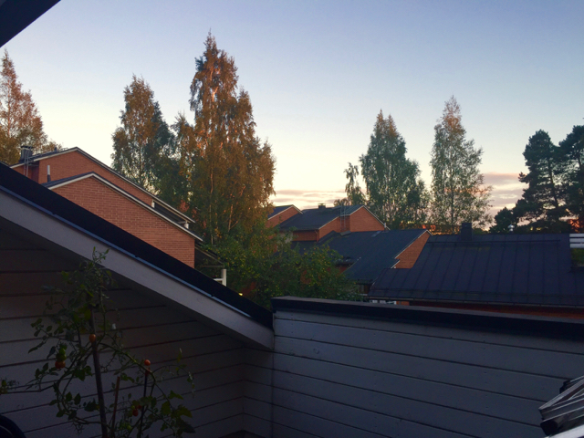 Kattonäkymä